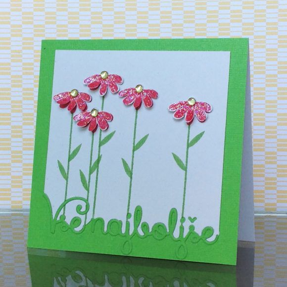 Tina Baša: Za srečo ni potrebno veliko