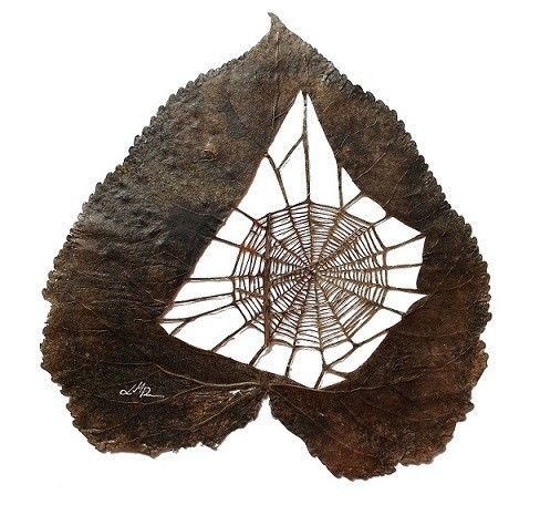 Od gosenice do umetnine