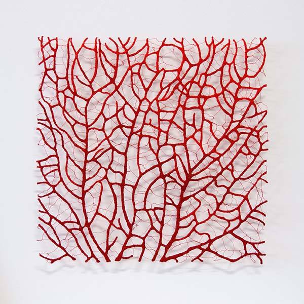 Niti ujete v oblike iz narave