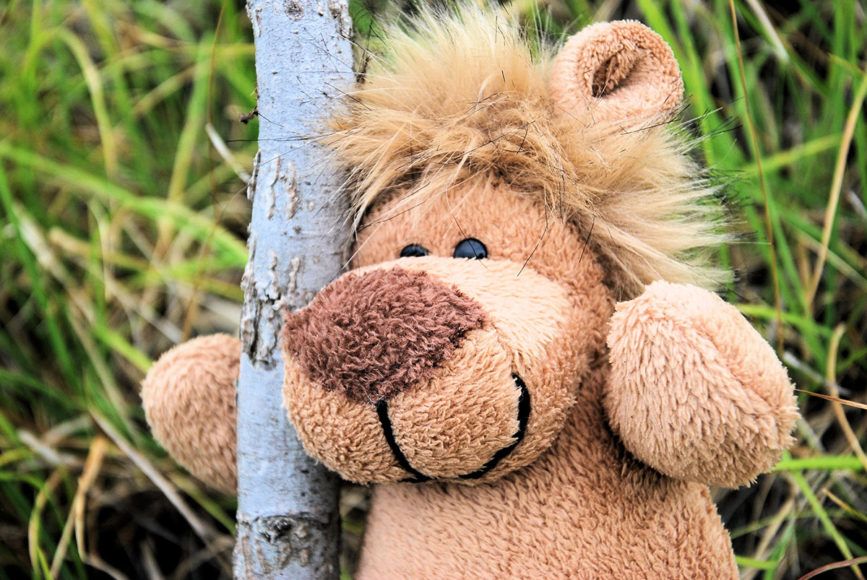 Nataša Savernik: Plišastemu svetu živalic se bodo pridružile tudi pupe