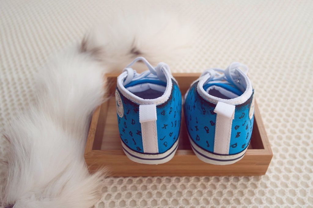 Otroški čeveljčki z unikatno podobo