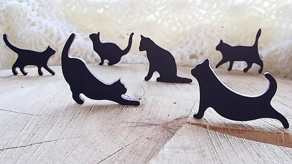 Urška Colarič: Les je topel in živ