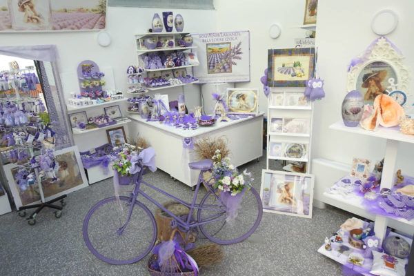 Vera Mrak: Ustvarja s sivko iz domačih nasadov